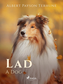 Omslagsbild för Lad: A Dog