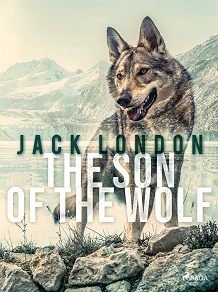 Omslagsbild för The Son of the Wolf