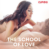 Omslagsbild för The School of Love