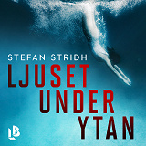 Cover for Ljuset under ytan