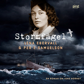 Cover for Stormfågel