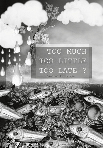 Omslagsbild för Too Much Too Little Too Late ?: Sanaton kuvakirja