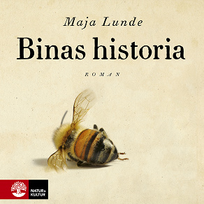 Cover for Binas historia