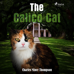 Omslagsbild för The Calico Cat