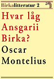 Omslagsbild för Hvar låg Ansgarii Birka? Birkalitteratur nr 2. Återutgivning av text från 1872