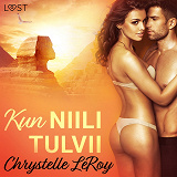Omslagsbild för Kun Niili tulvii - eroottinen novelli