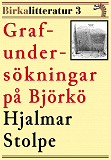 Omslagsbild för Grafundersökningar på Björkö. Birkalitteratur nr 3. Återutgivning av text från 1876