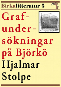 Omslagsbild för Grafundersökningar på Björkö. Birkalitteratur nr 3. Återutgivning av text från 1876