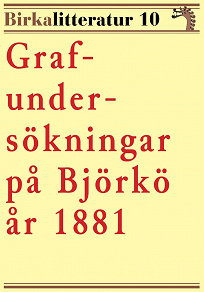 Omslagsbild för Grafundersökningar på Björkö år 1881. Birkalitteratur nr 10.