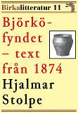 Omslagsbild för Björkö-fyndet. Redogörelse för undersökningarna under åren 1871–1873. Birkalitteratur nr 11