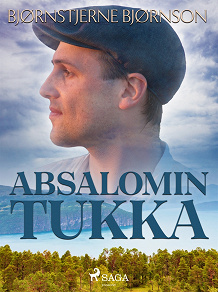 Omslagsbild för Absalomin tukka