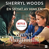 Cover for En skymt av himlen