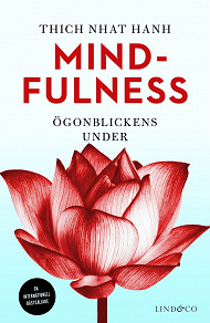 Cover for Mindfulness : Ögonblickens under