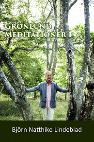 Omslagsbild för Grönlund Mediationer 1