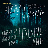 Omslagsbild för Märkliga händelser från Hälsingland