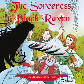 Omslagsbild för The Adventures of the Elves 2: The Sorceress, Black Raven