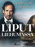 Omslagsbild för Liput liehumassa