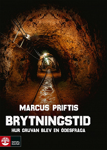 Cover for Brytningstid : hur gruvan blev en ödesfråga