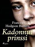 Cover for Kadonnut prinssi