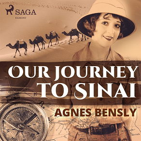 Cover for Our Journey to Sinai