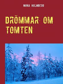 Omslagsbild för Drömmar om tomten