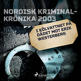 Cover for I kölvattnet på dådet mot Erik Westerberg