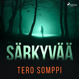 Cover for Särkyvää
