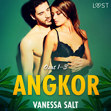 Cover for Angkor osat 1–3: eroottinen novellikokoelma