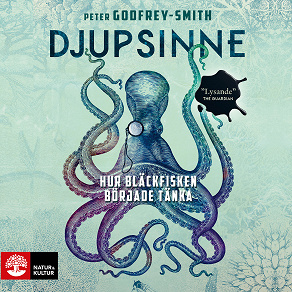 Cover for Djupsinne : hur bläckfisken började tänka