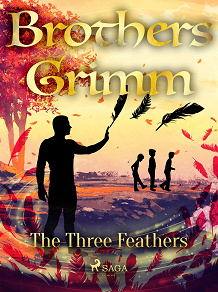 Omslagsbild för The Three Feathers
