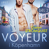 Cover for Voyeur i Köpenhamn 2 - erotisk novell