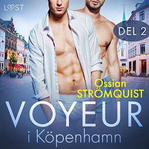 Omslagsbild för Voyeur i Köpenhamn 2 - erotisk novell