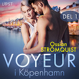 Cover for Voyeur i Köpenhamn del 1 - erotisk novell
