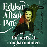 Cover for En nerfärd i malströmmen