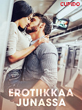 Cover for Erotiikkaa junassa