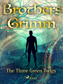 Omslagsbild för The Three Green Twigs
