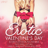 Cover for Erotic Valentine's Day - 6 eroottista novellia