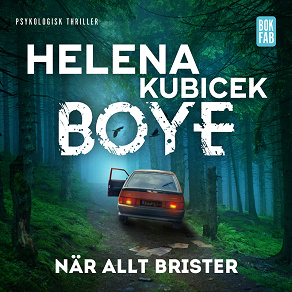 Cover for När allt brister
