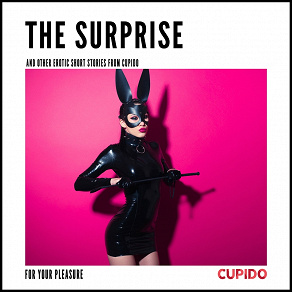 Omslagsbild för The Surprise - and other erotic short stories from Cupido