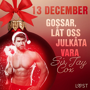 Omslagsbild för 13 december: Gossar, låt oss julkåta vara - en erotisk julkalender