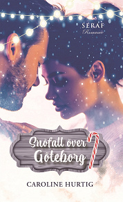 Cover for Snöfall över Göteborg 