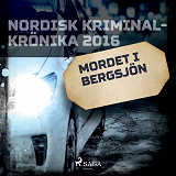 Cover for Mordet i Bergsjön