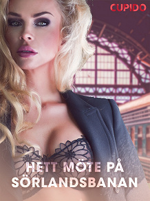 Omslagsbild för Hett möte på Sörlandsbanan - erotiska noveller