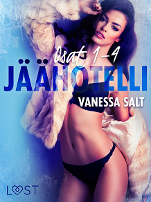 Omslagsbild för Jäähotelli osat 1–4: eroottinen novellikokoelma