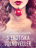 Omslagsbild för Kalendersex - 5 erotiska julnoveller