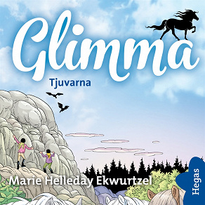Cover for Tjuvarna