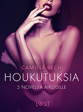 Omslagsbild för Houkutuksia: 5 novellia aikuisille