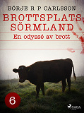 Cover for Brottsplats Sörmland. 6, En odyssé av brott
