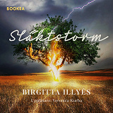 Cover for Släktstorm