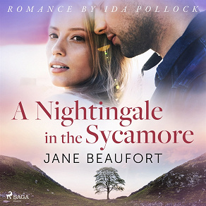 Omslagsbild för A Nightingale in the Sycamore